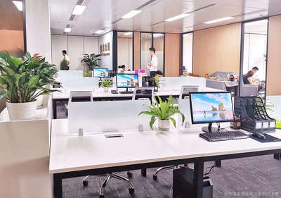 鑫众瑞(厦门)信息咨询服务——助力企业高效决策与发展的专业伙伴